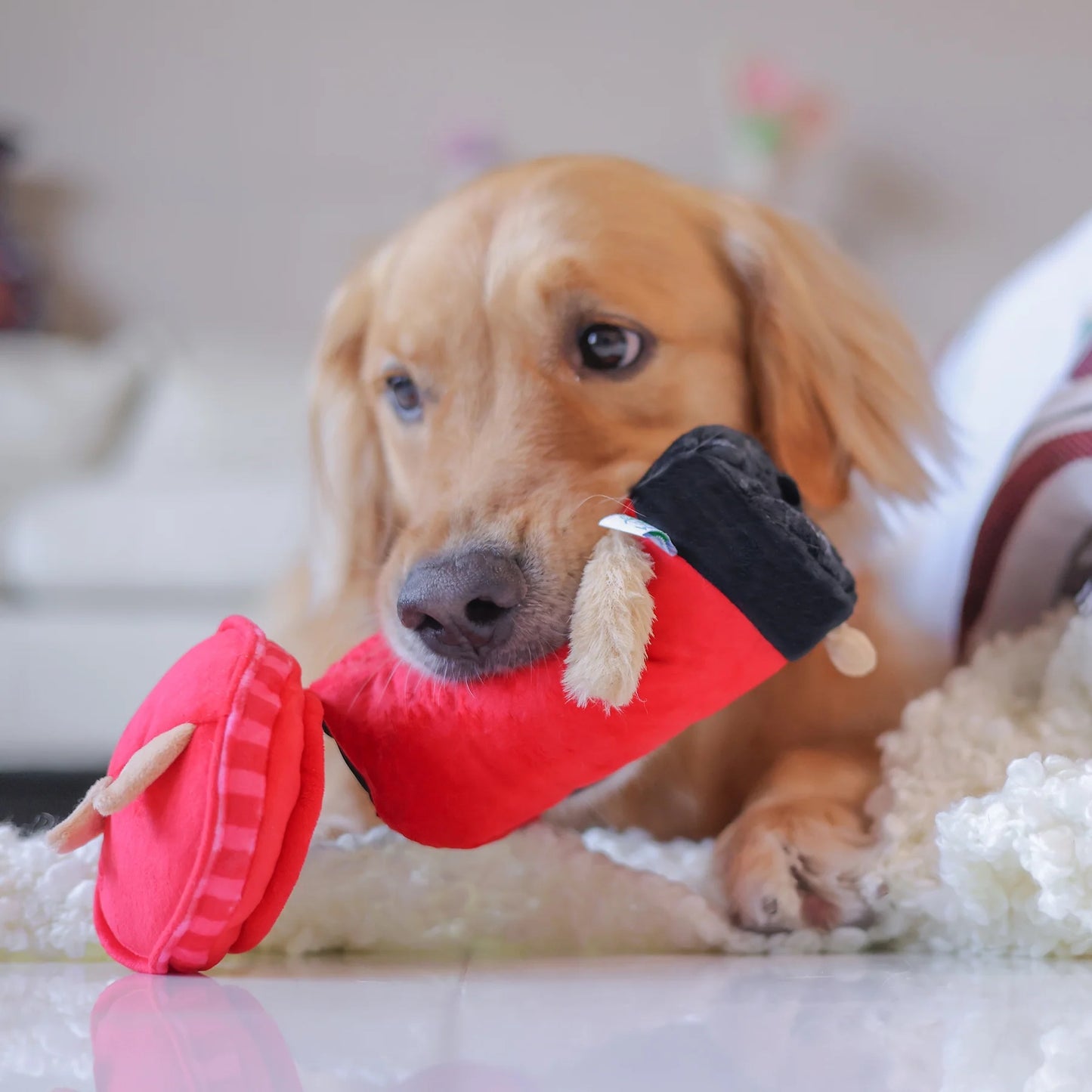 Woof² British Postbox Treat-Dispensing Pet Toy