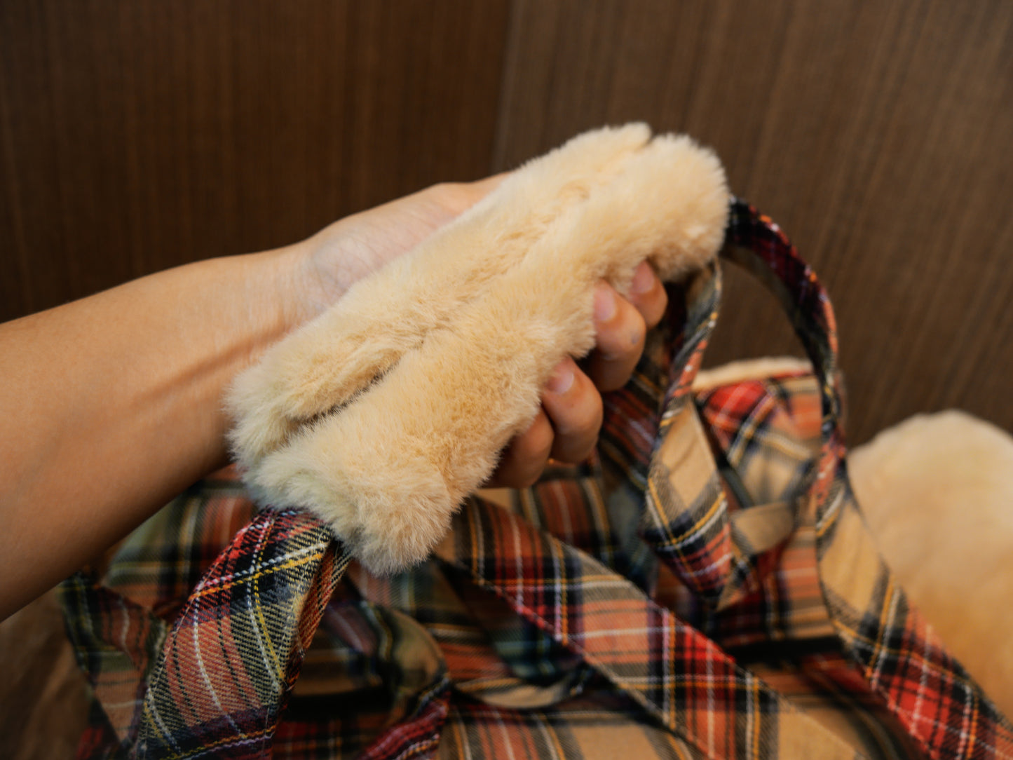 Be My Bear (Carrier)