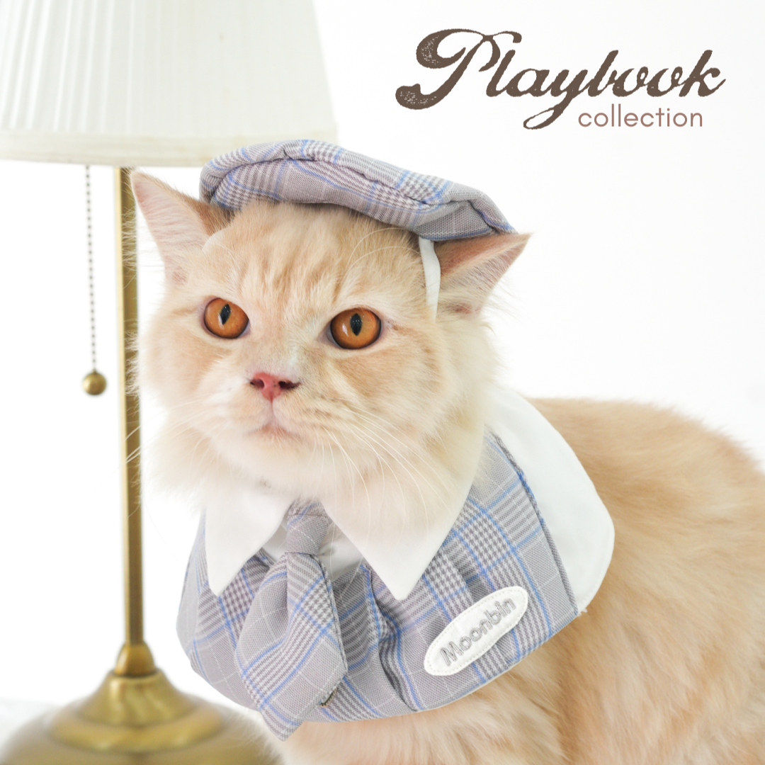 Playbook Pet Beret