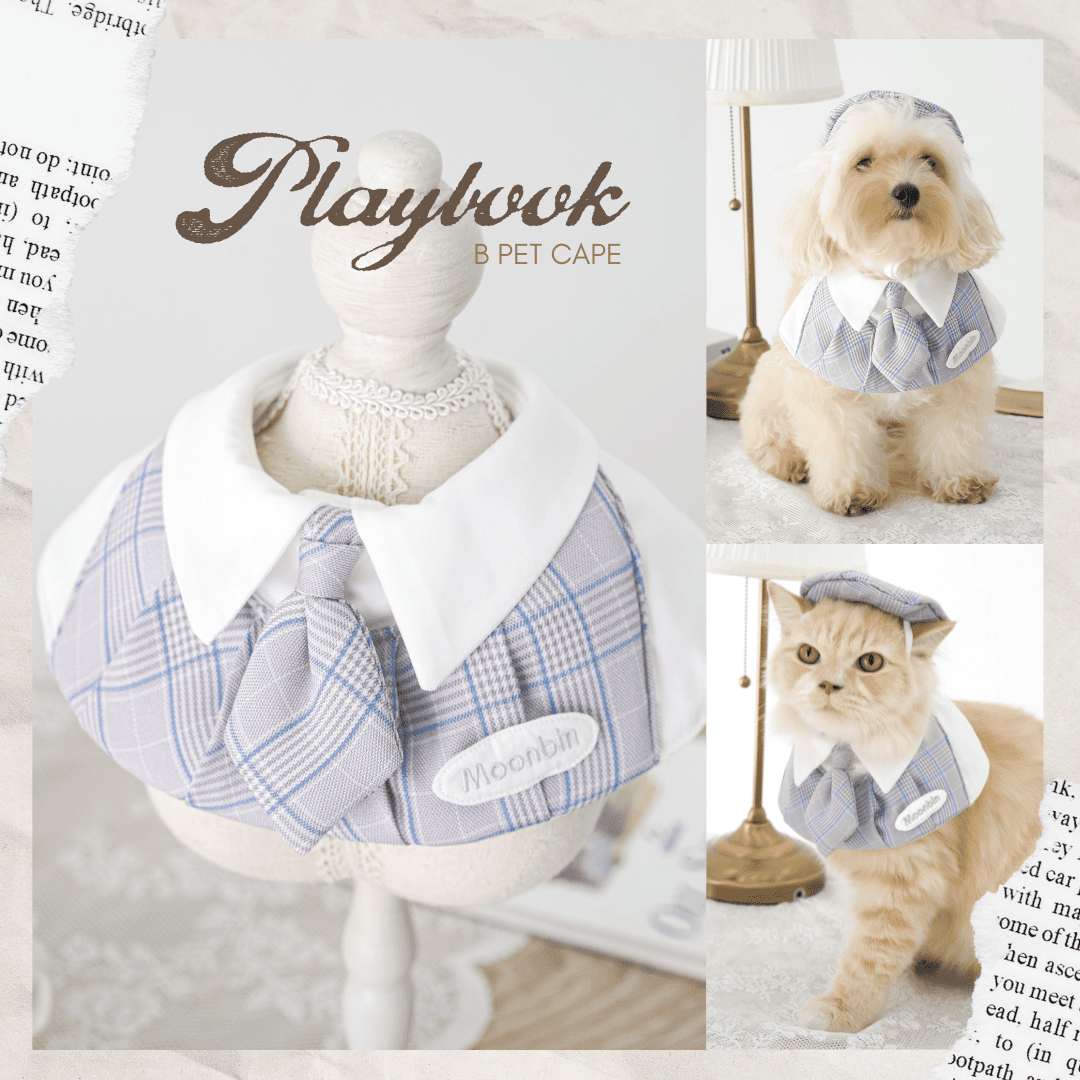 Playbook Pet Cape (Boy)