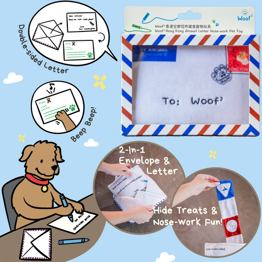 Woof² Hong Kong Airmail Nose-work Pet Toy