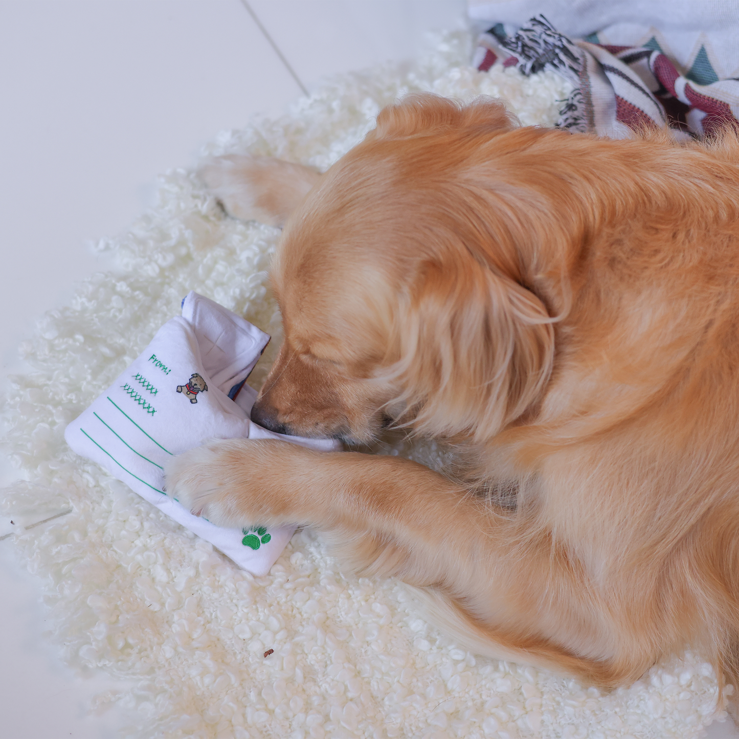 Woof² Hong Kong Airmail Nose-work Pet Toy