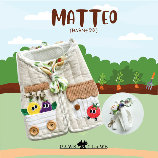 Matteo (Harness)