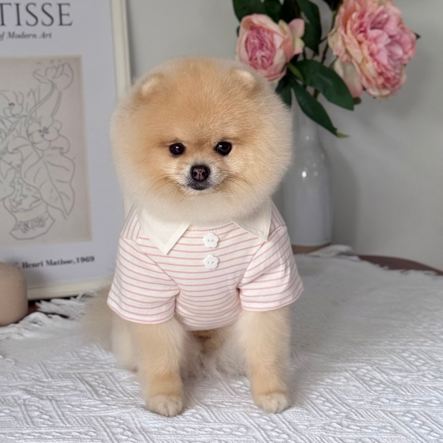 Comfort T-shirt (New)