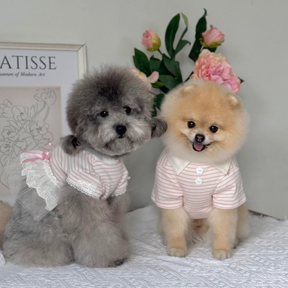 Comfort T-shirt (New)