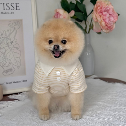 Comfort T-shirt (New)