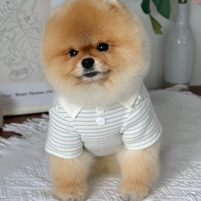 Comfort T-shirt (New)