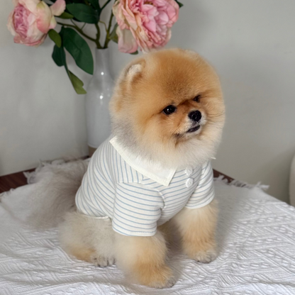 Comfort T-shirt (New)