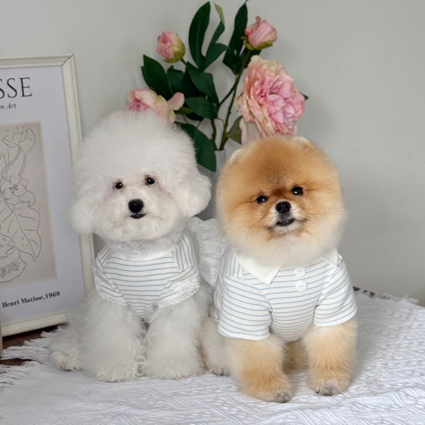 Comfort T-shirt (New)