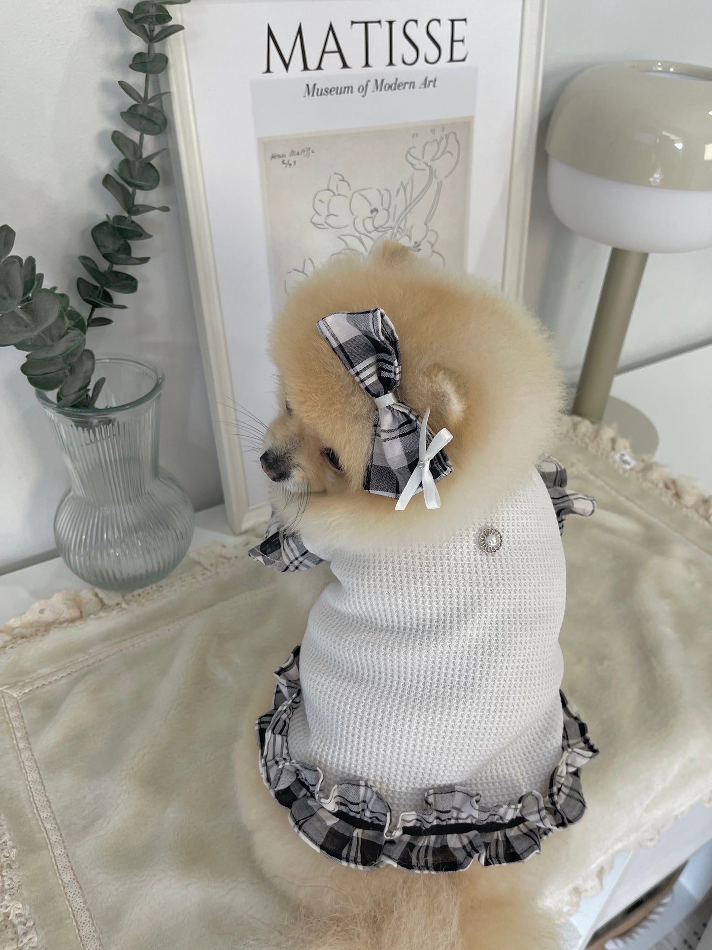 Daily is Glam (Dress)