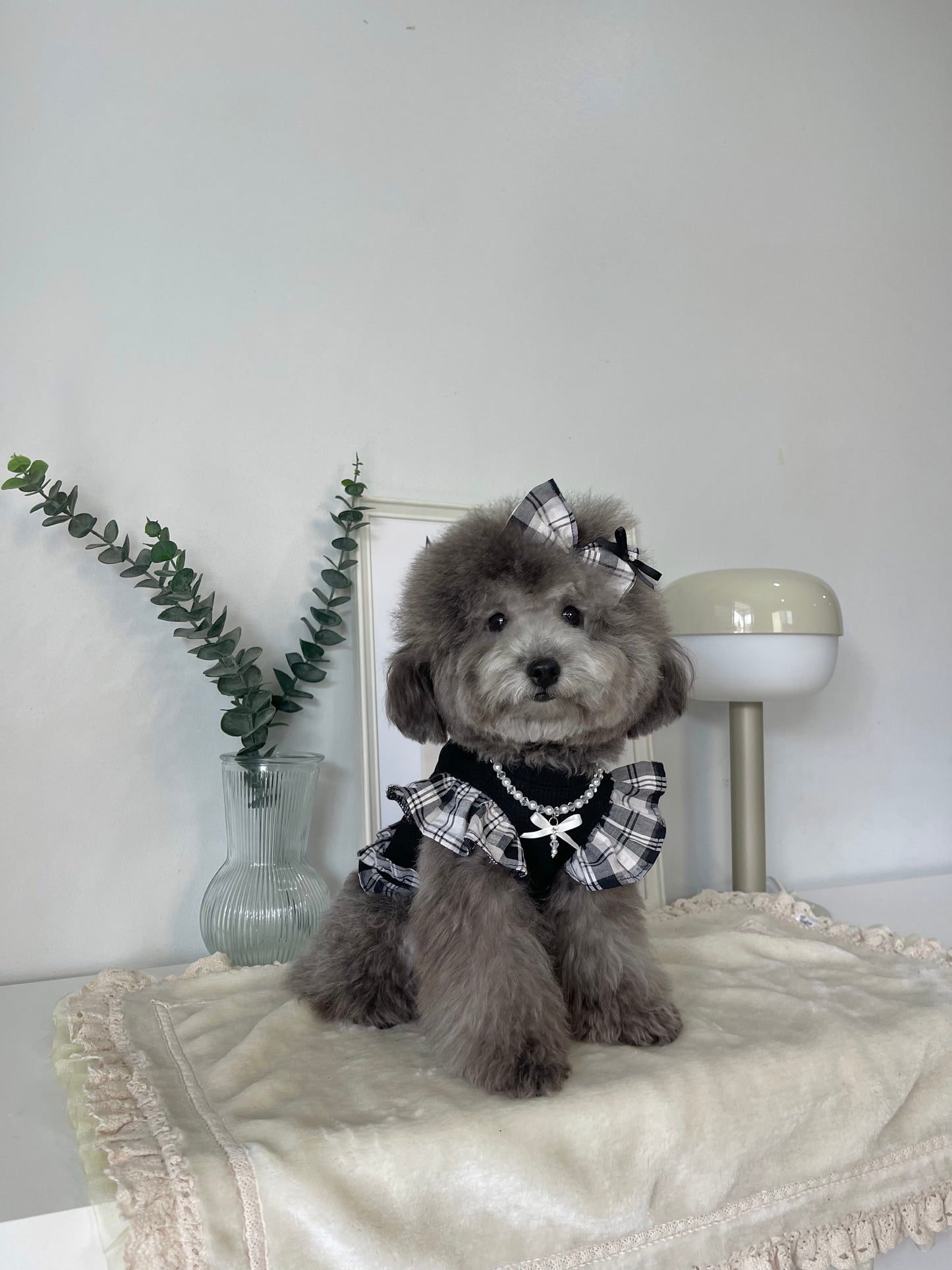 Daily is Glam (Dress)