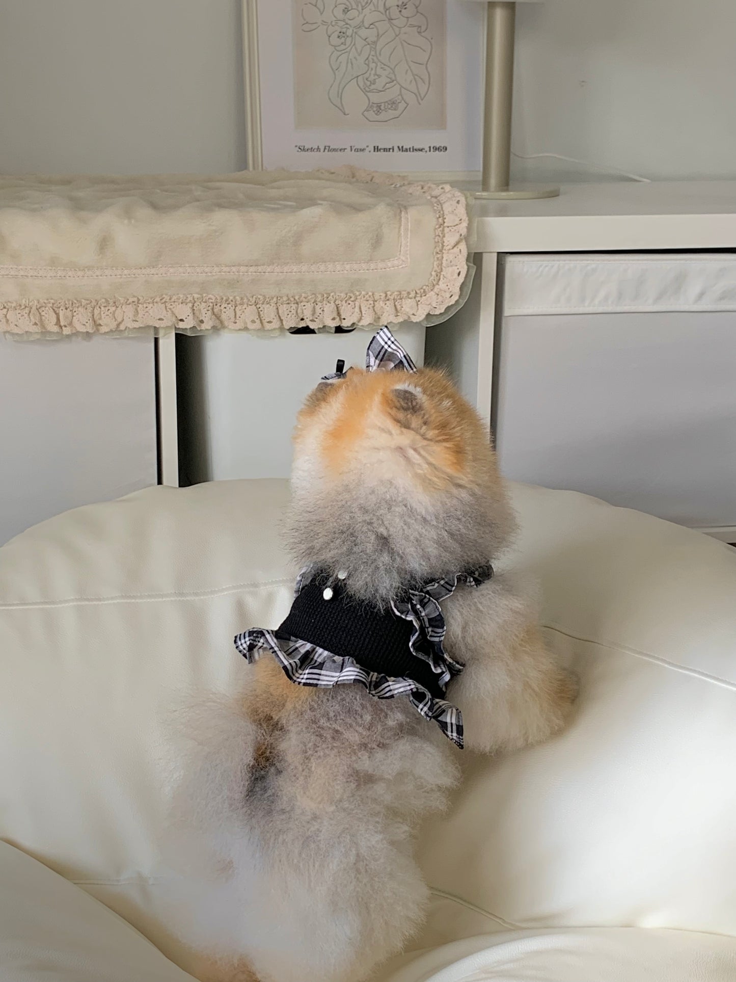 Daily is Glam (Crop)