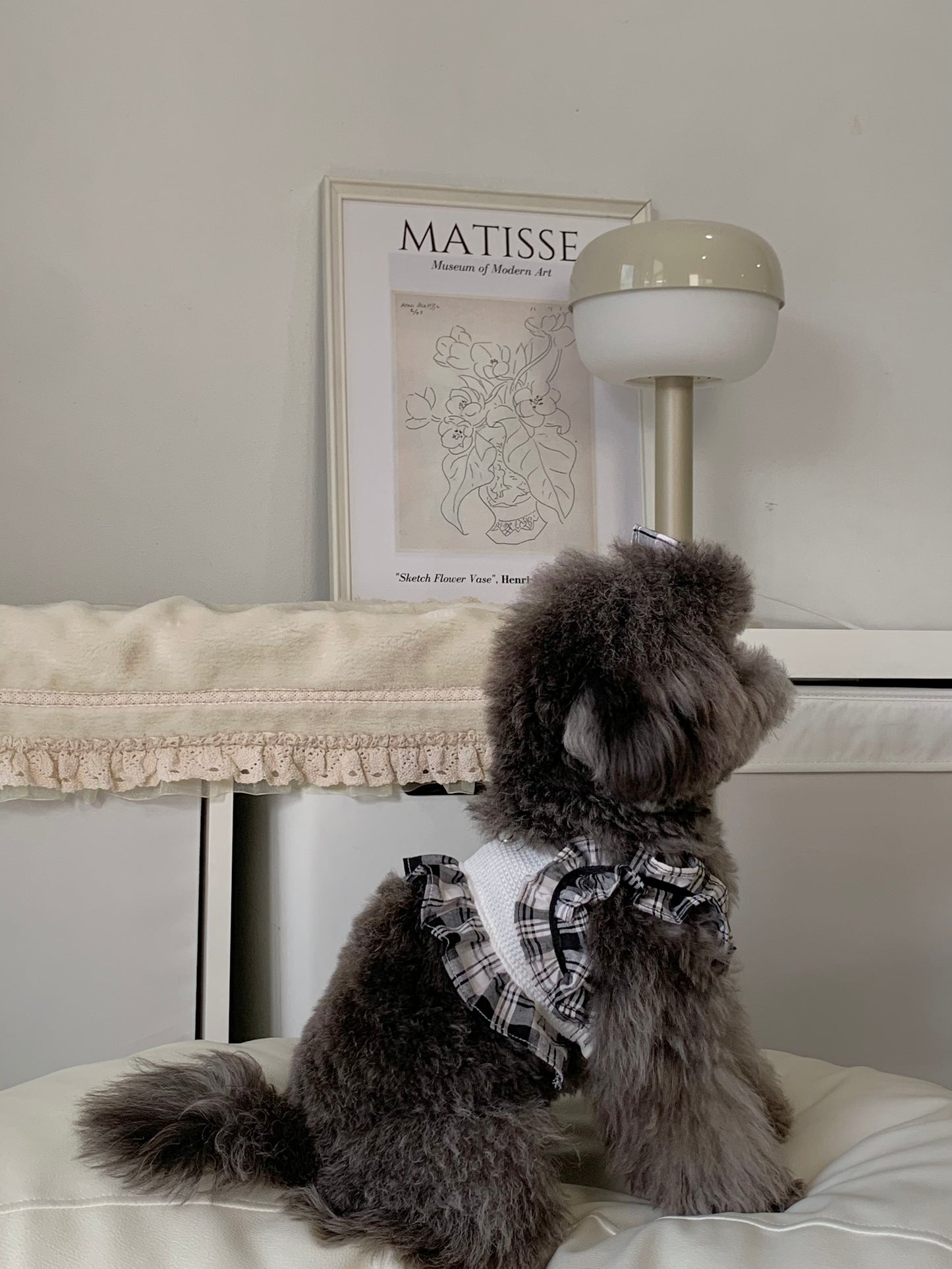 Daily is Glam (Crop)