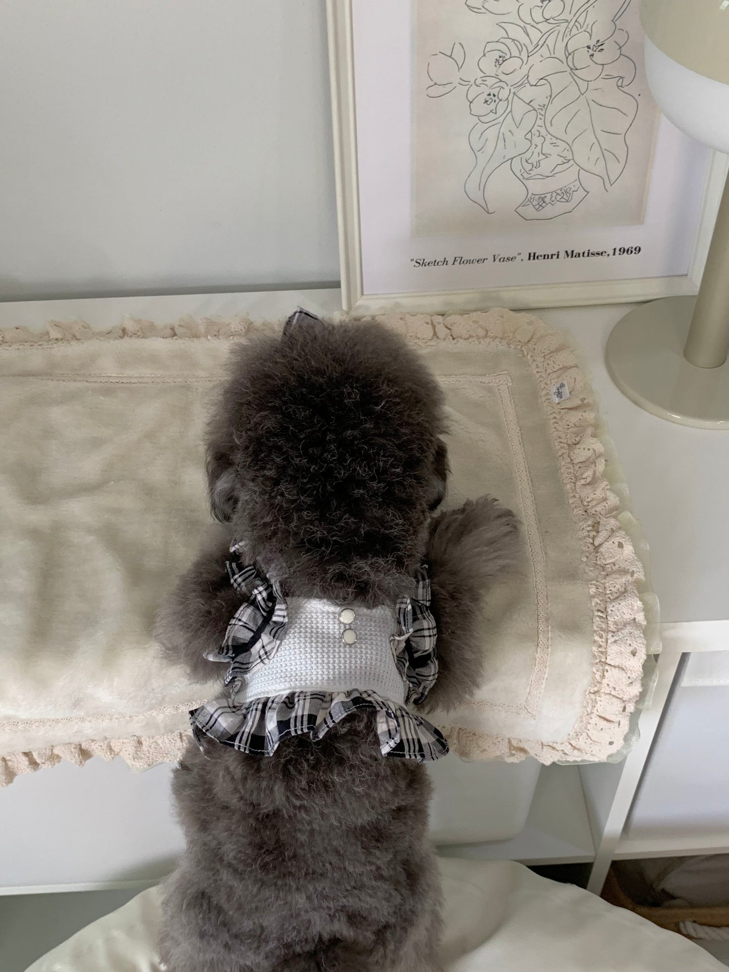 Daily is Glam (Crop)