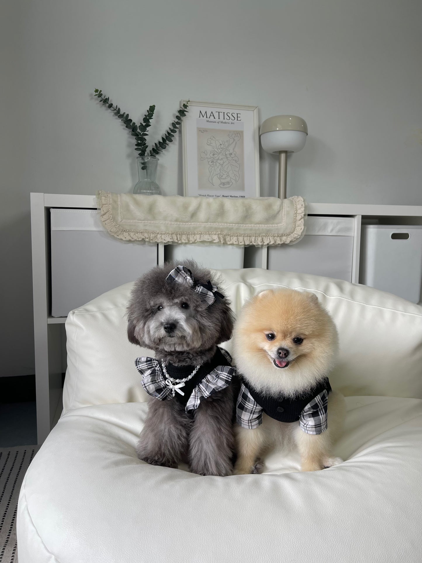 Daily is Glam (Dress)