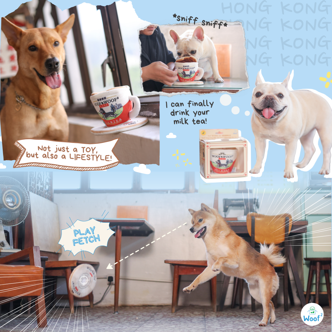 Woof² Hong Kong Milk Tea 2-in-1 Nose-work Pet Toy