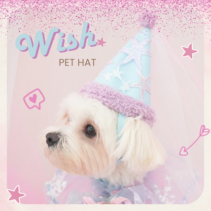Wish Hat