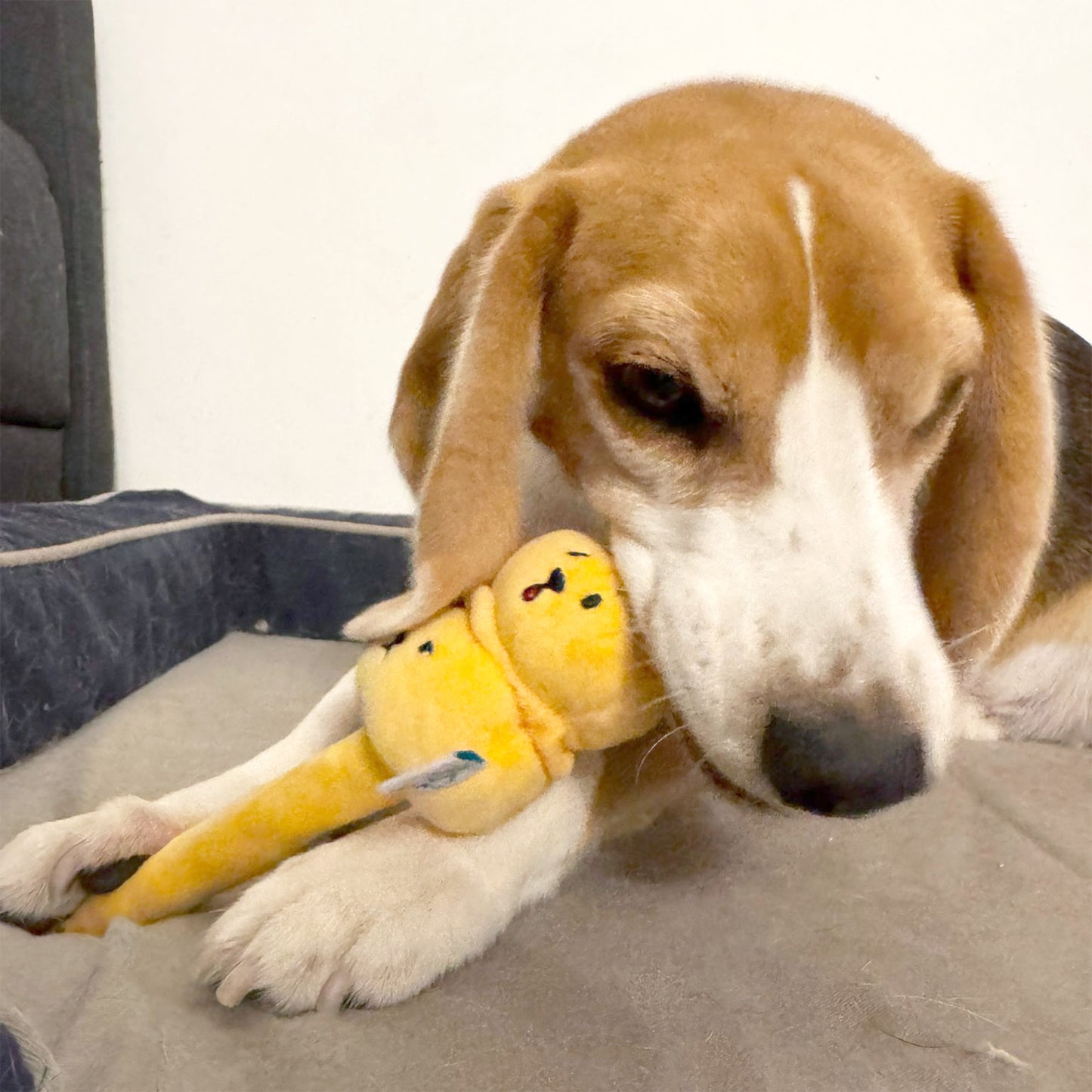 Woof² 3 Siu Mai Brothers Pet Toy