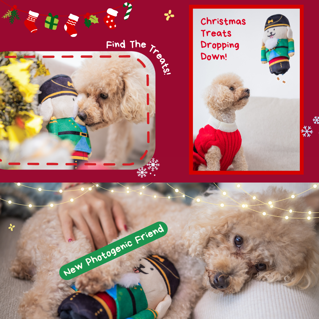 Woof² Nutcracker Treat-Dispensing Pet Toy