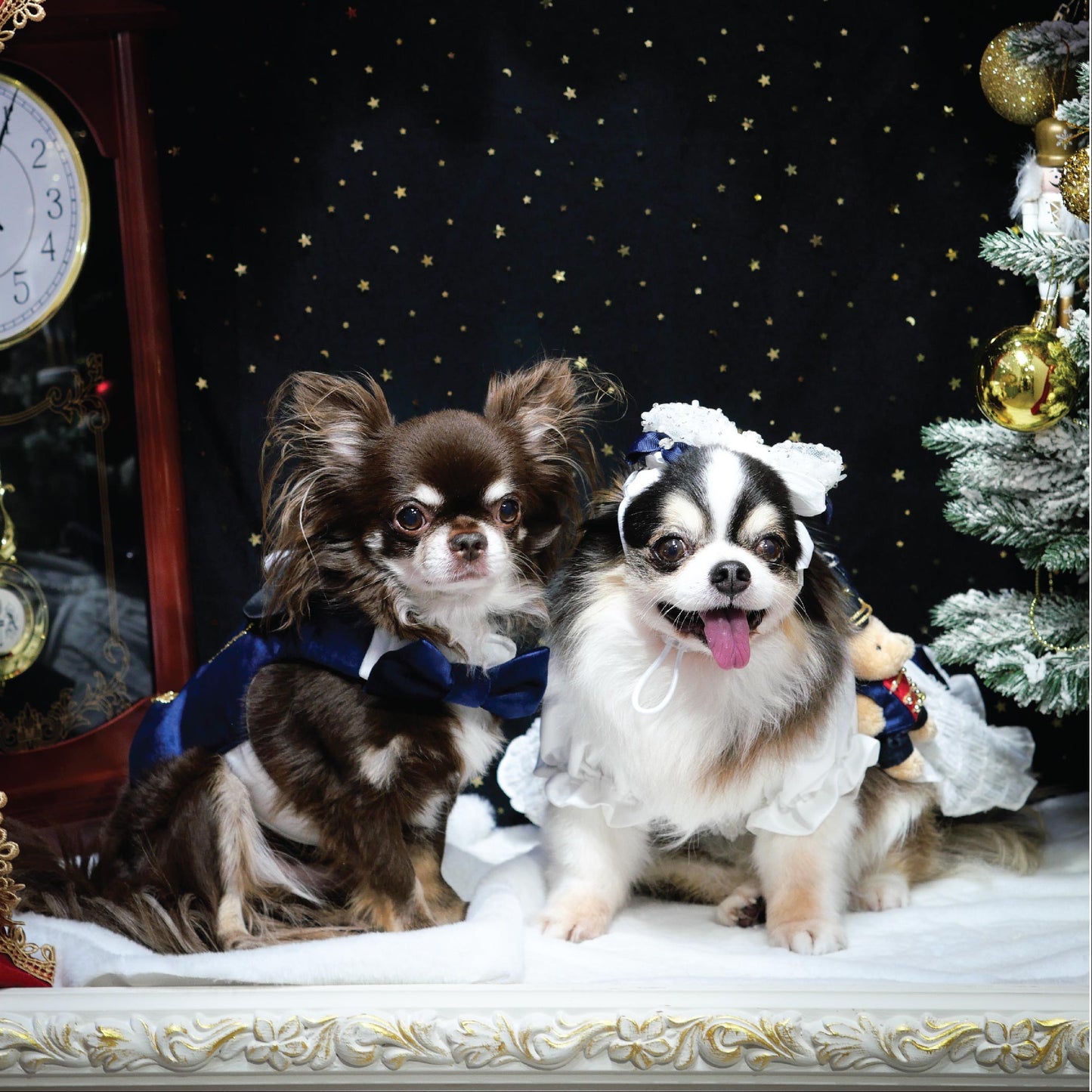 Drossmeyer (Harness)