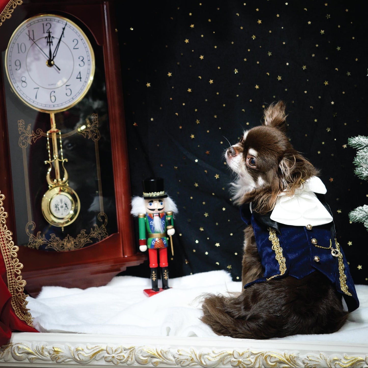 Drossmeyer (Harness)