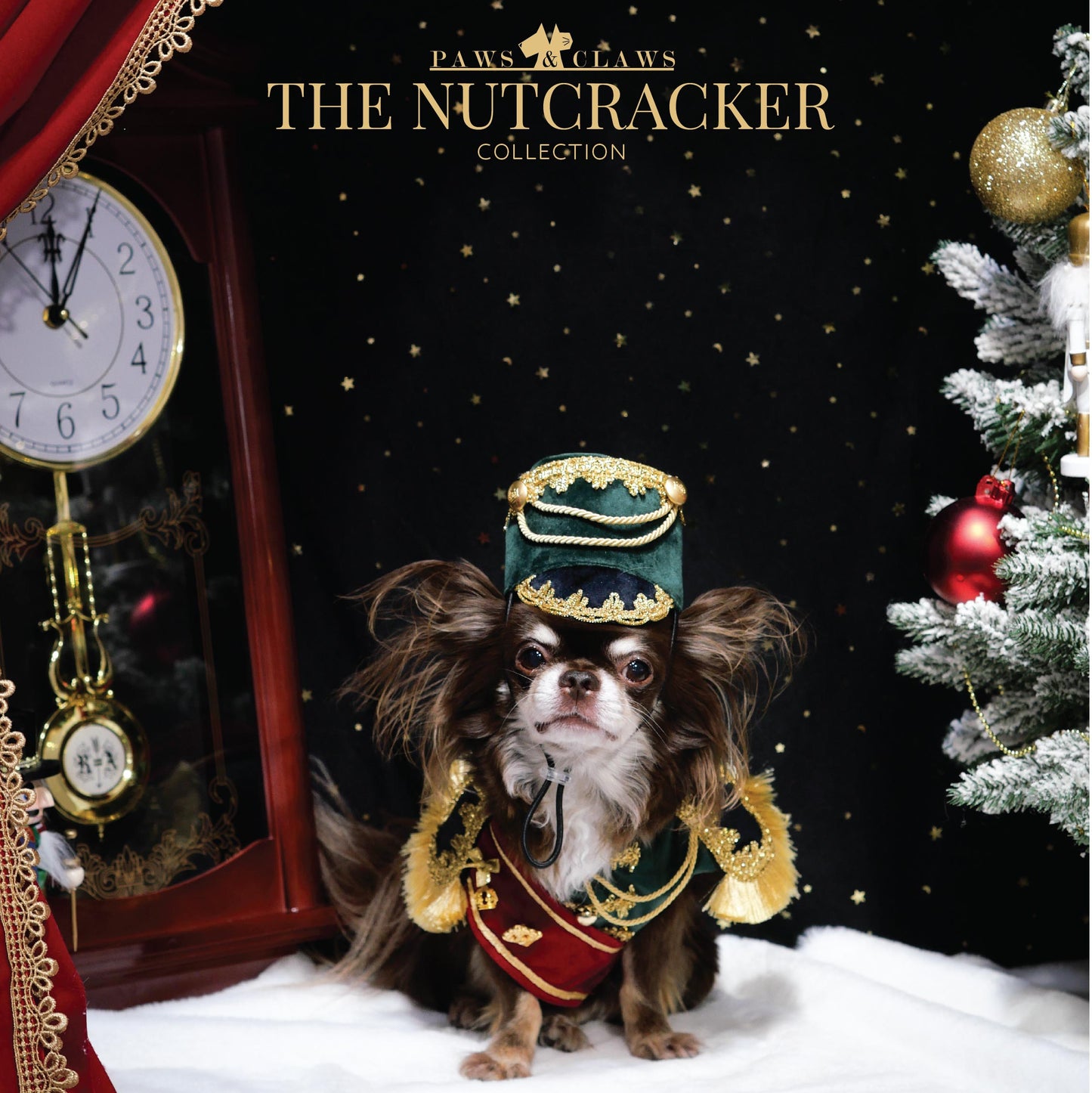 Nutcracker