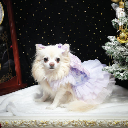 Sugar Plum (Harness)