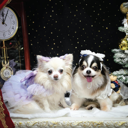 Sugar Plum (Harness)