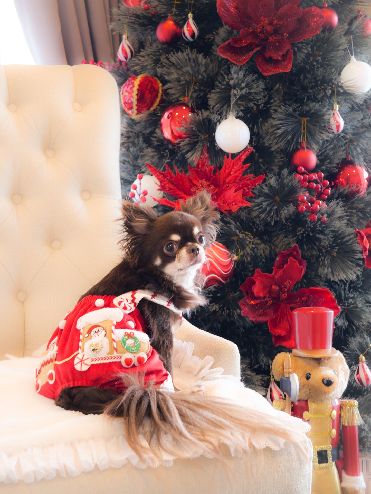 Polar Express (Romper)