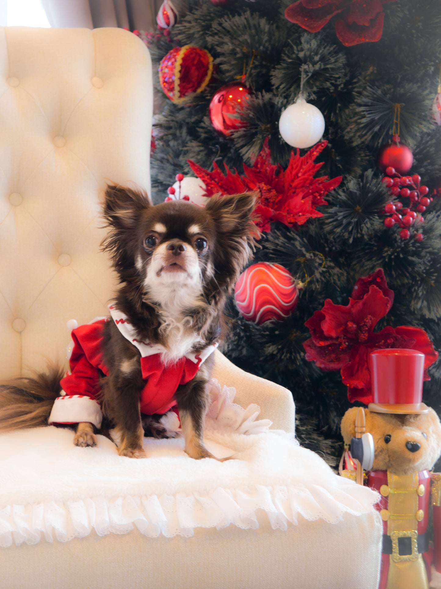 Polar Express (Romper)