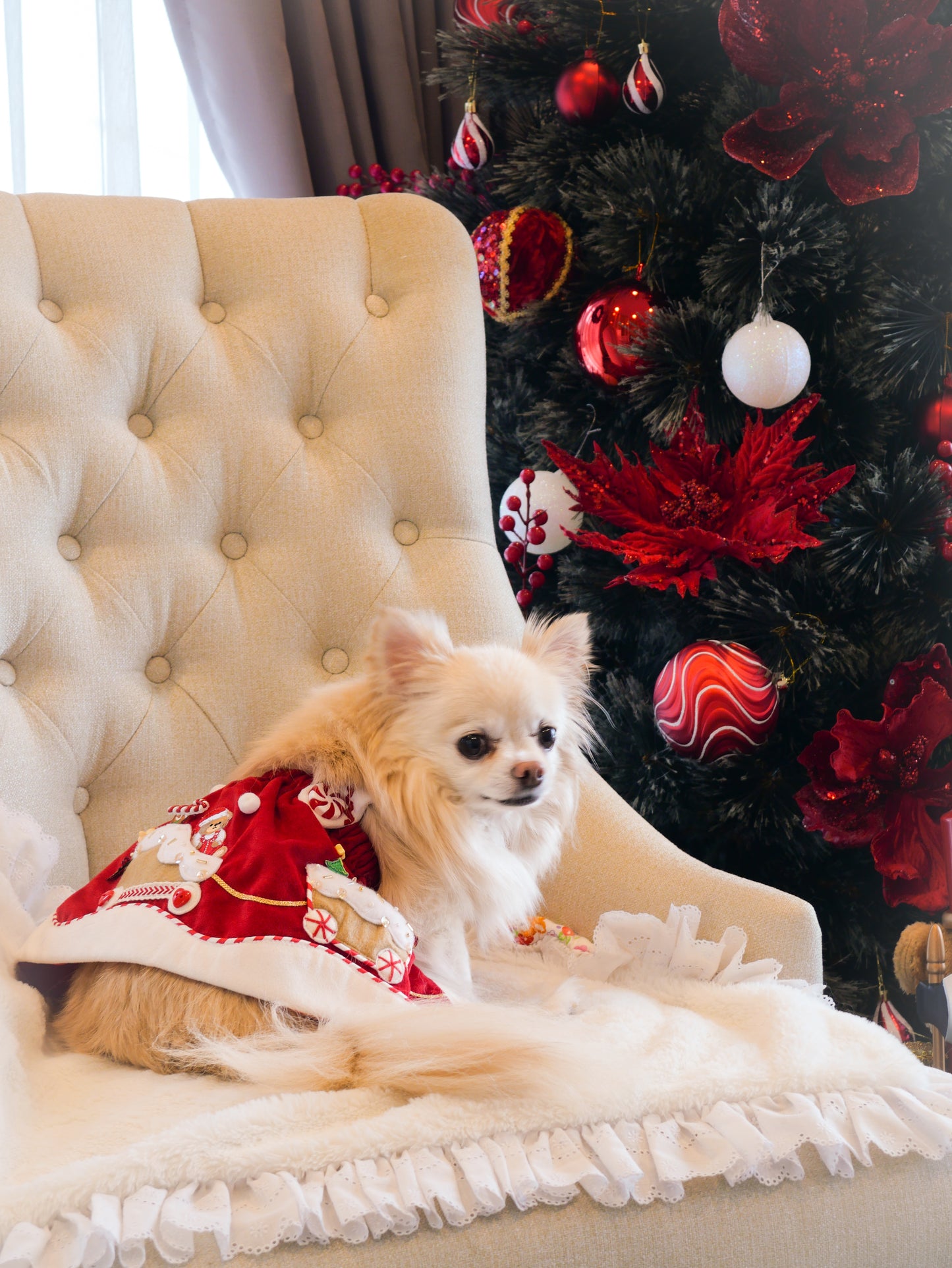 Polar Express (Dress)