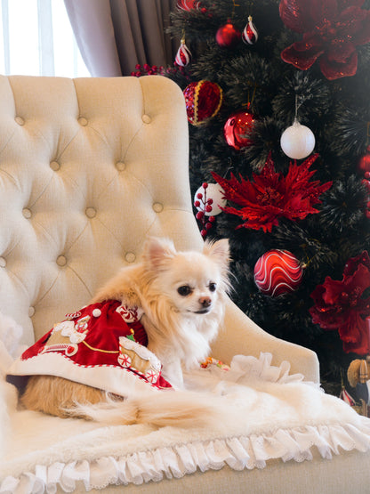 Polar Express (Dress)