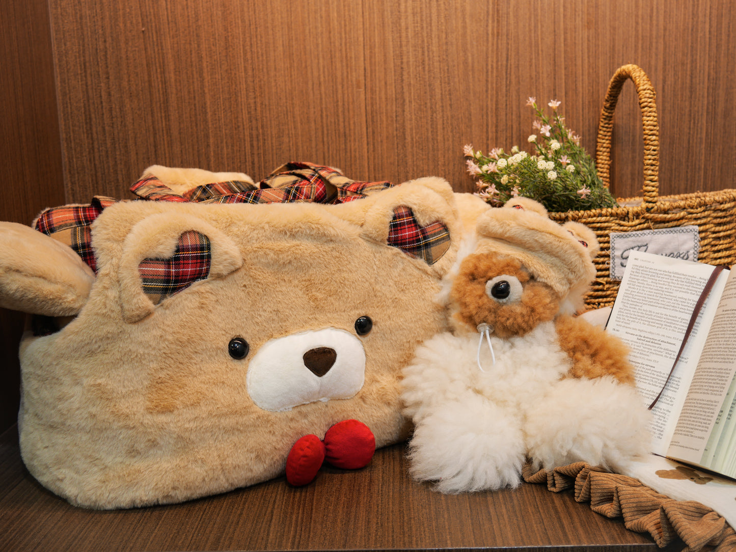 Be My Bear (Carrier)