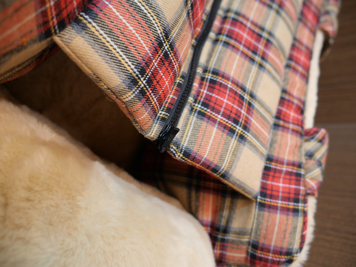 Be My Bear (Carrier)