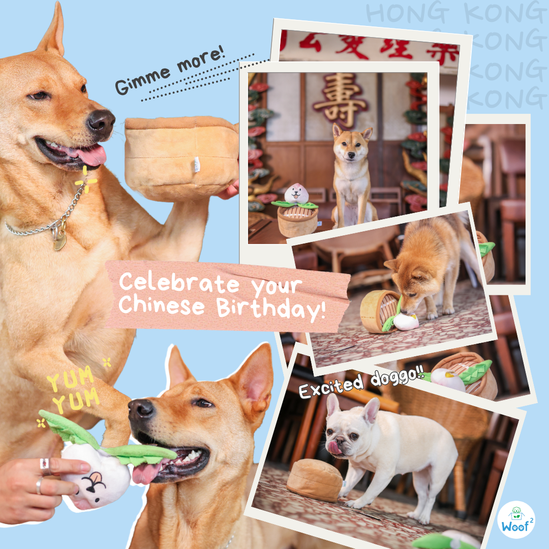 Woof² Chinese Birthday Peach Bun 3-In-1 Nose-work Pet Toy