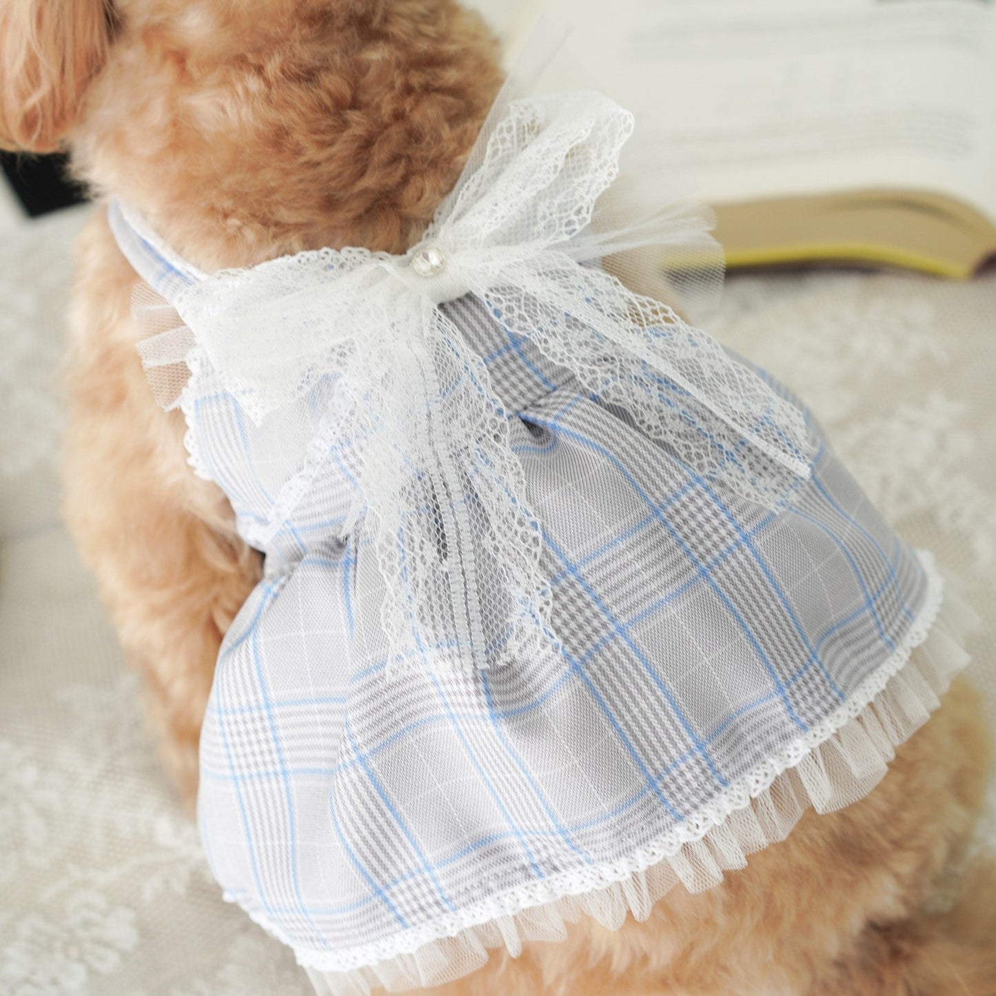 Playbook Pet Dress