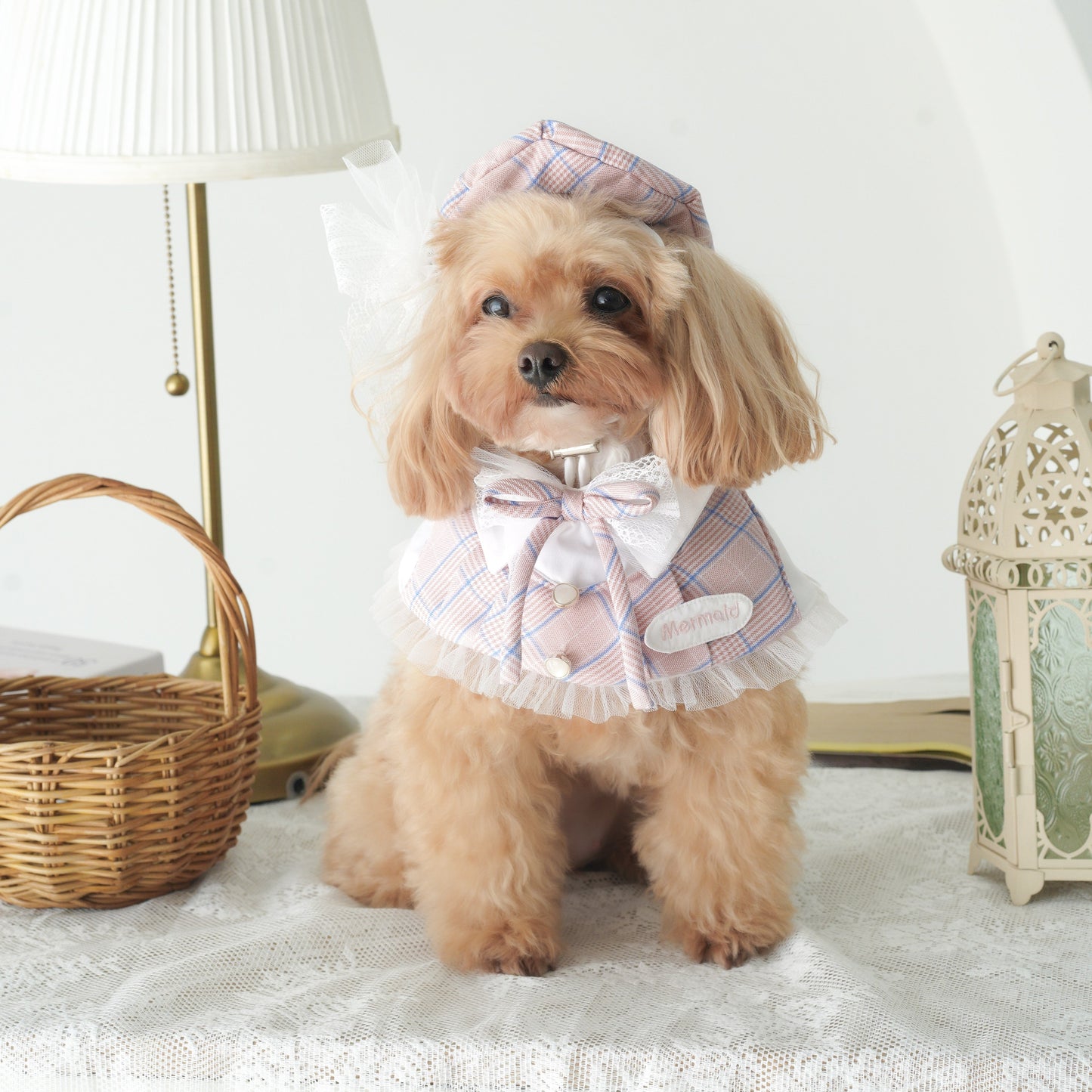 Playbook Pet Cape (Girl)