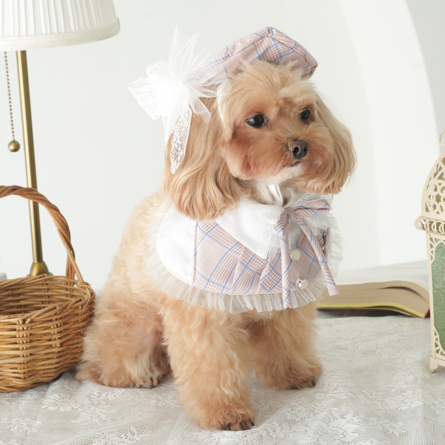 Playbook Pet Cape (Girl)