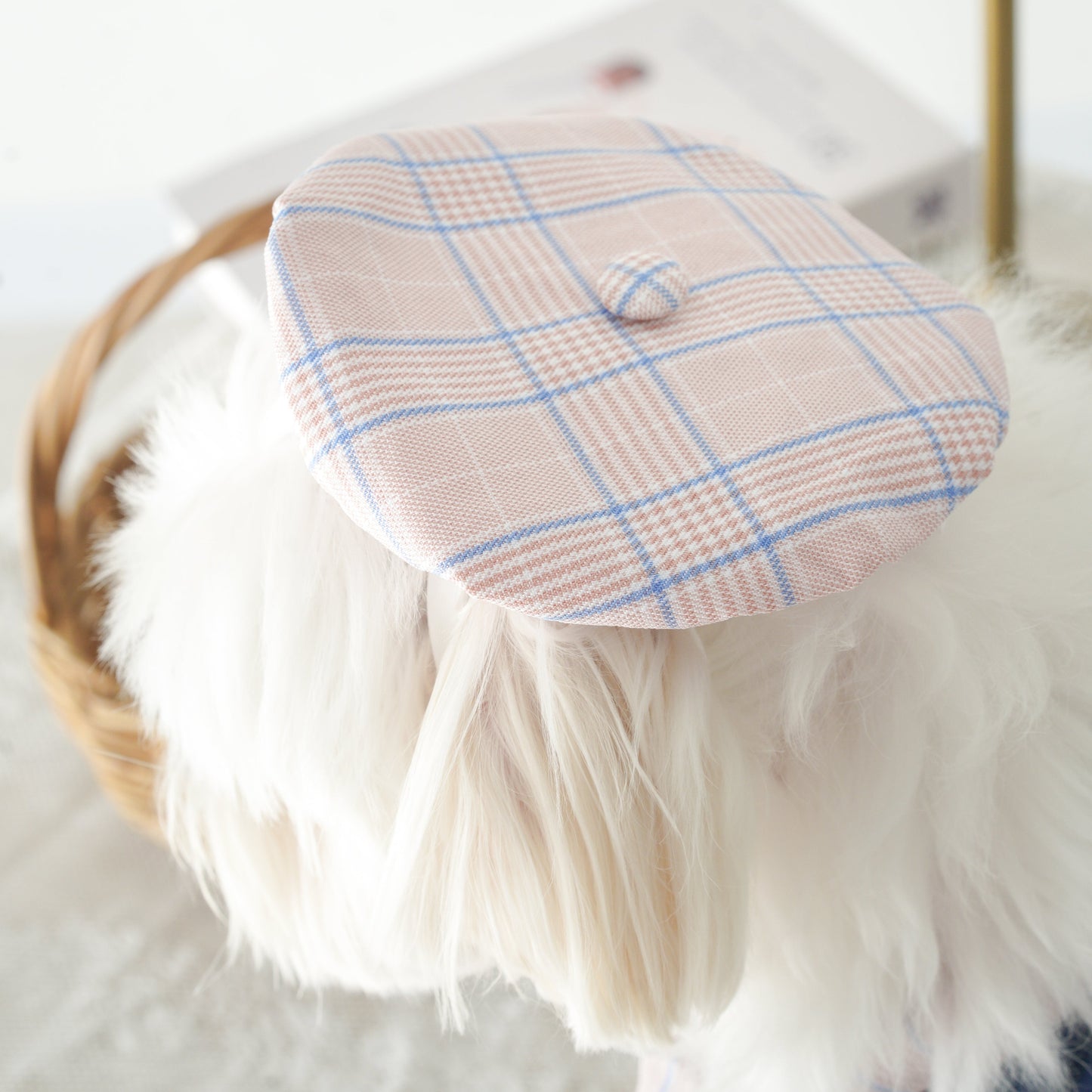 Playbook Pet Beret