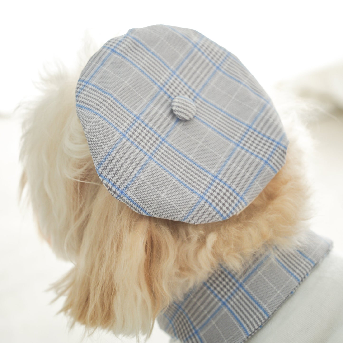 Playbook Pet Beret