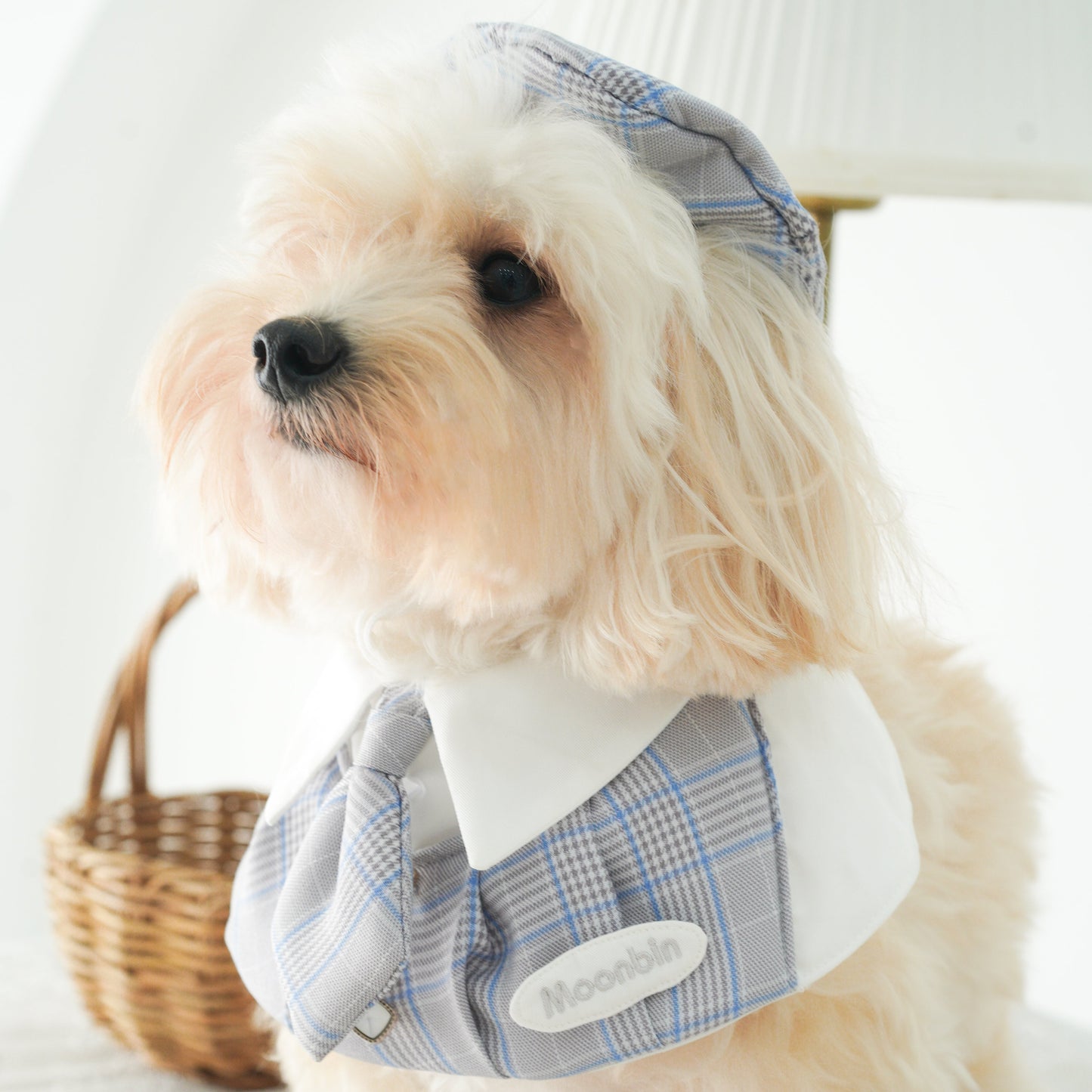 Playbook Pet Cape (Boy)