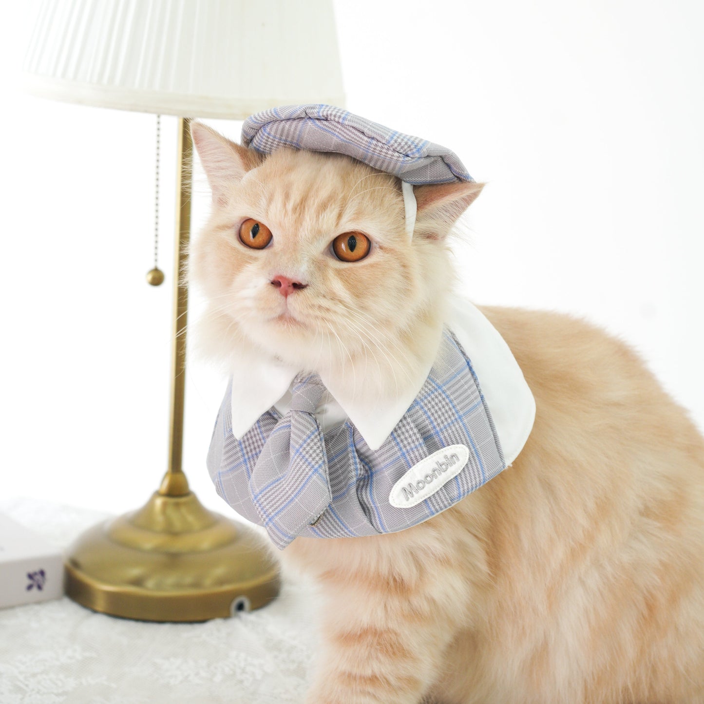 Playbook Pet Cape (Boy)