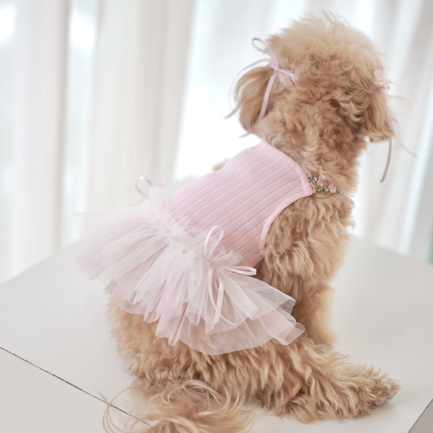 Blossom Pet Dress