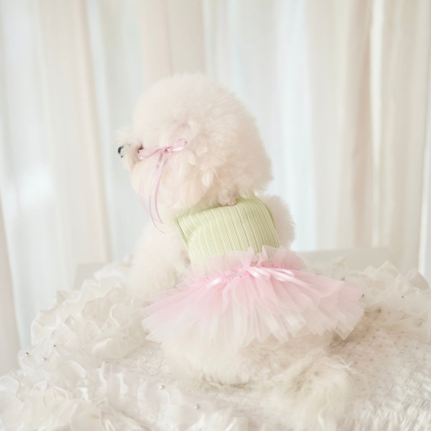 Blossom Pet Dress