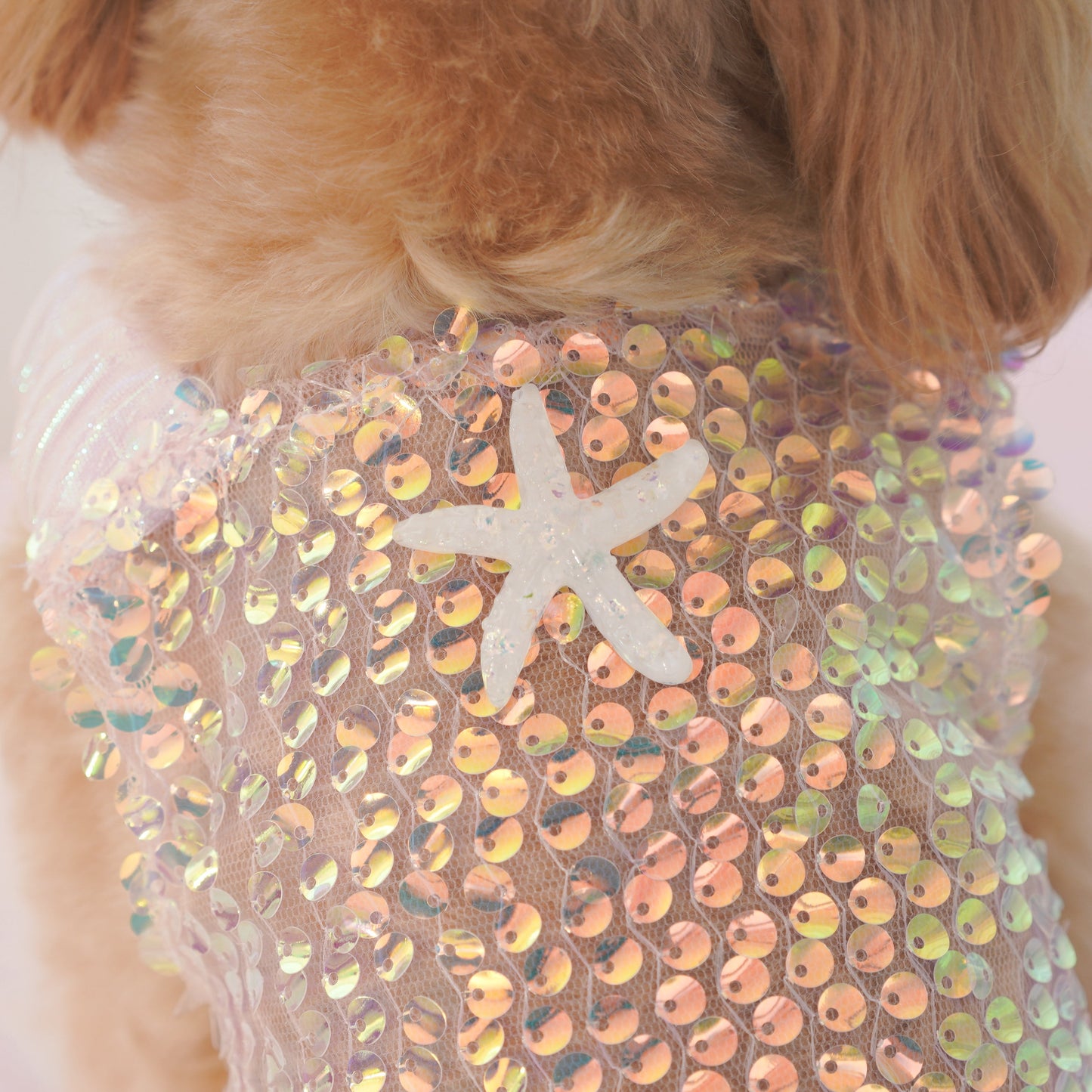 Seashell Pet Dress