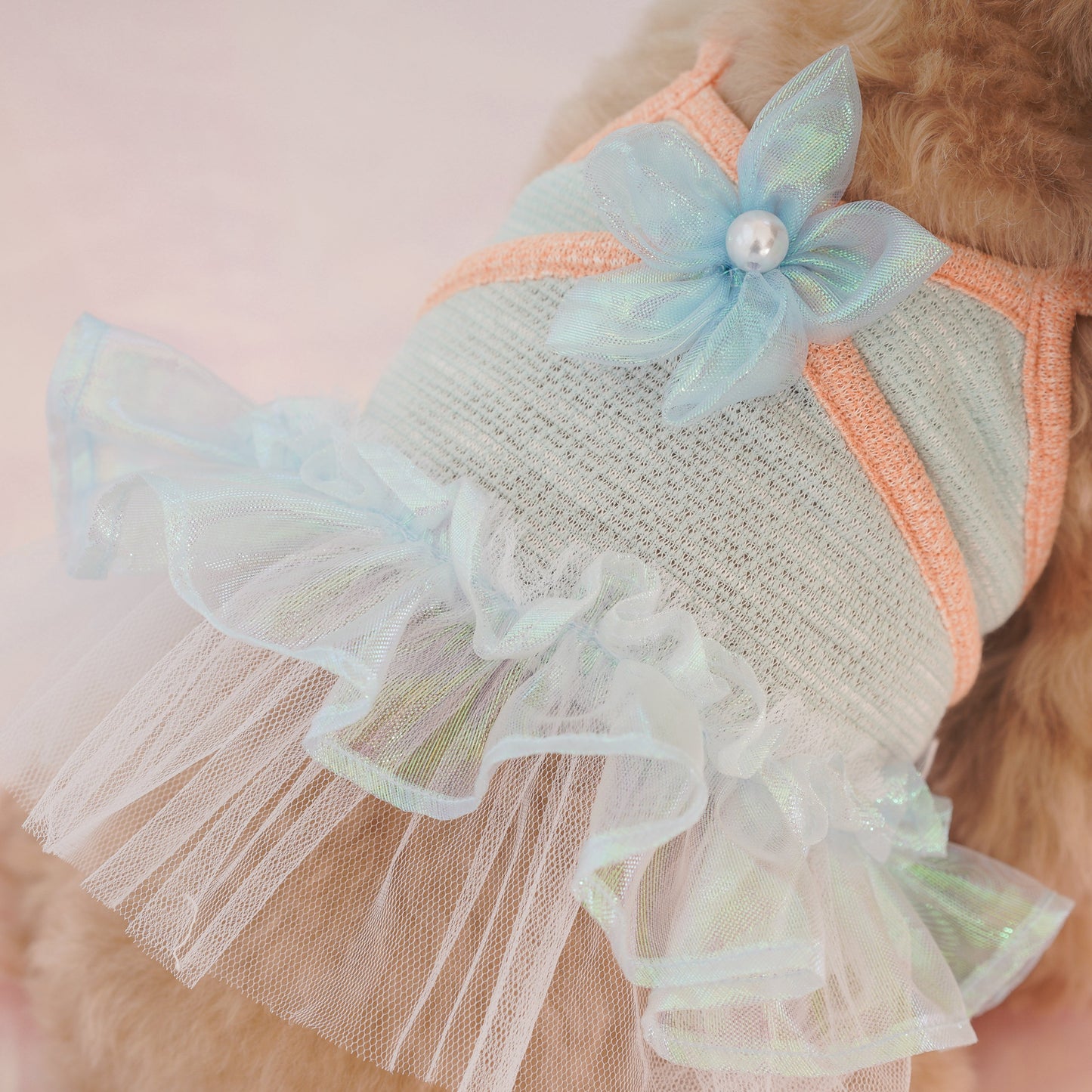 Bubbly Pet Dress