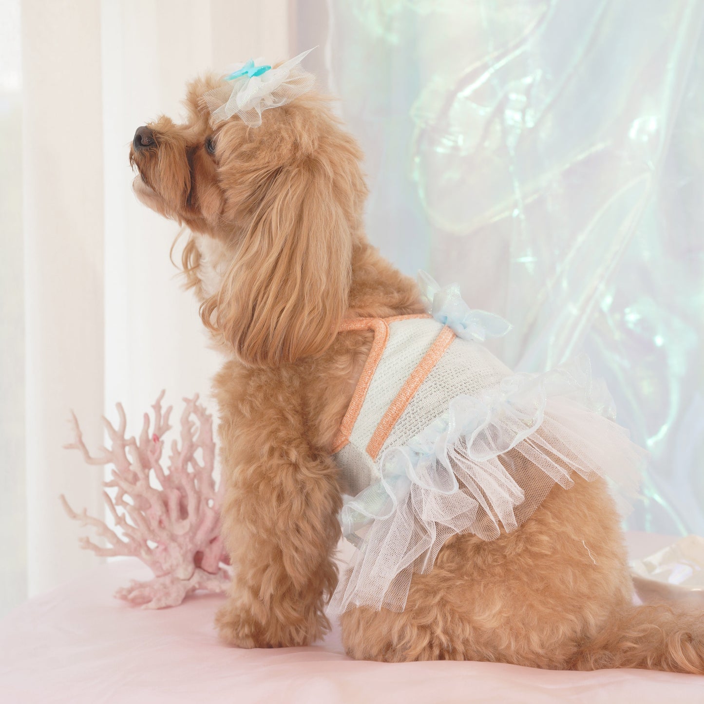 Bubbly Pet Dress