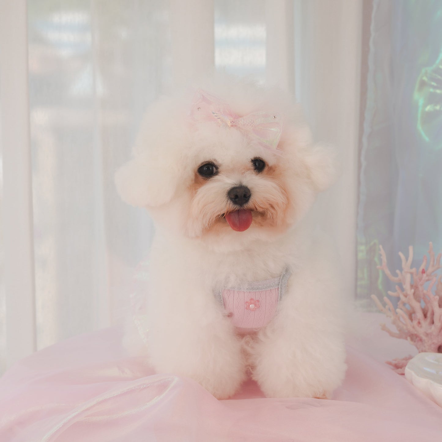 Bubbly Pet Dress