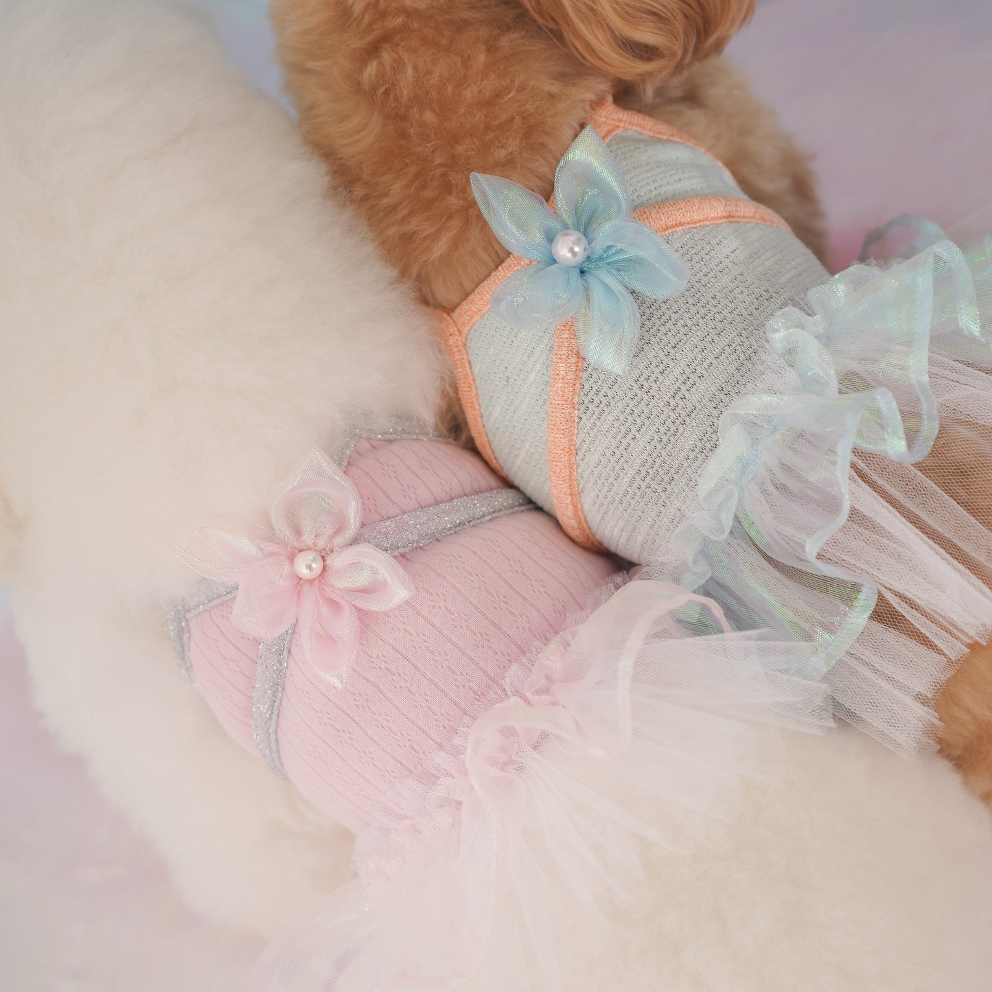 Bubbly Pet Dress
