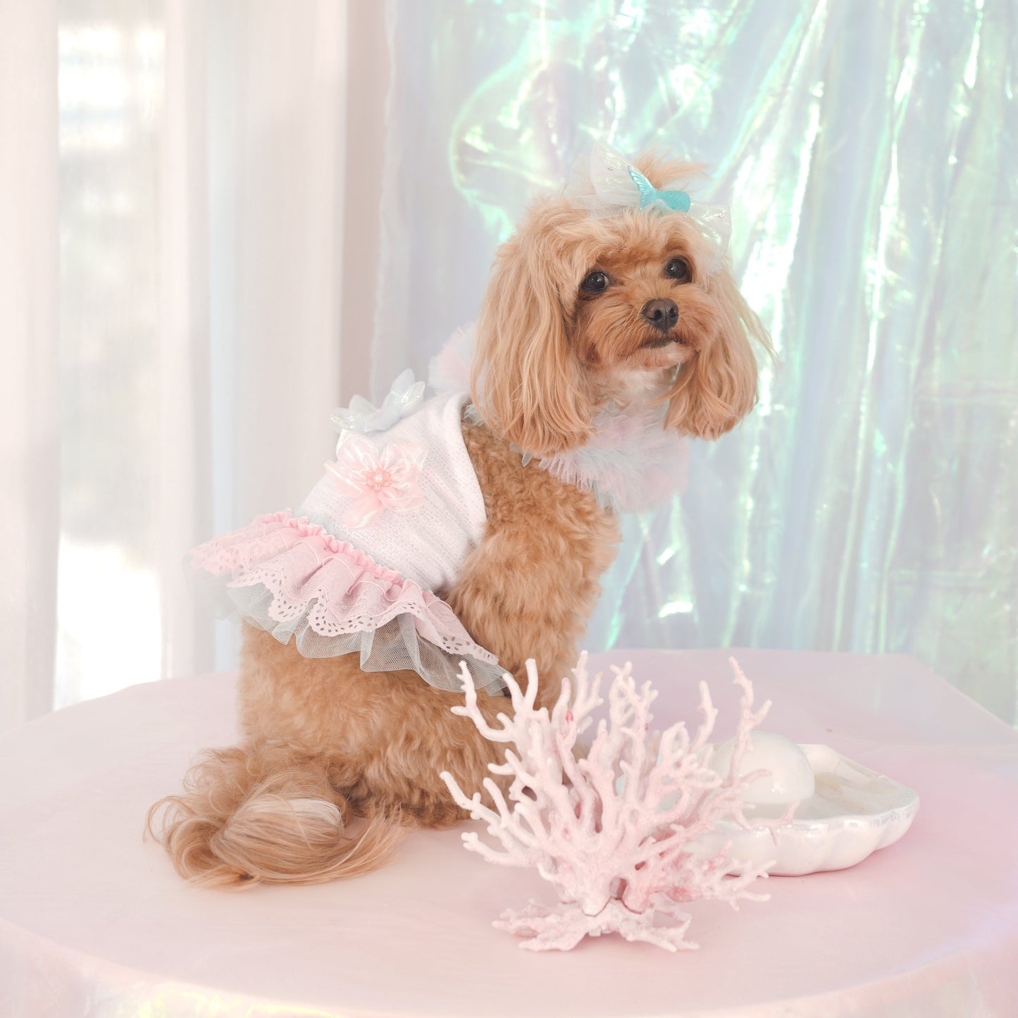 Coral Pet Dress